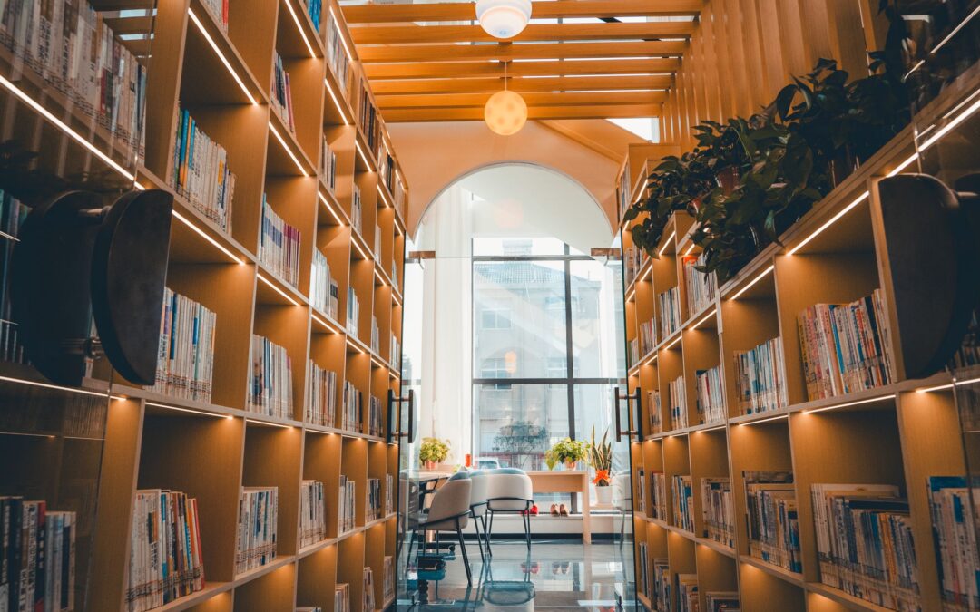 Dip your toe in: how frontline library staff actually use AI, day to day