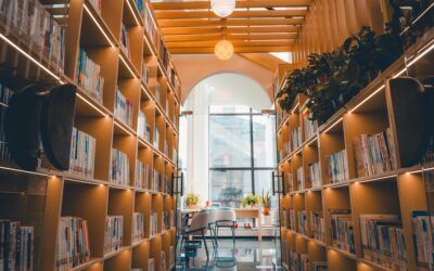Dip your toe in: how frontline library staff actually use AI, day to day